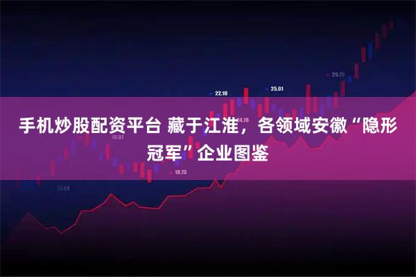 手机炒股配资平台 藏于江淮，各领域安徽“隐形冠军”企业图鉴