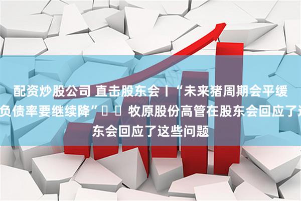 配资炒股公司 直击股东会丨“未来猪周期会平缓很多”“负债率要继续降”⋯⋯牧原股份高管在股东会回应了这些问题